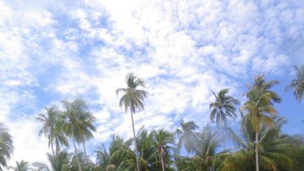 Pesona Tanah Papua Ada di Kota Biak