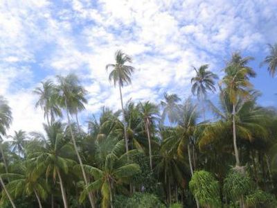 Pesona Tanah Papua Ada di Kota Biak