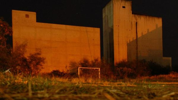 Peternakan Burung Walet di Riau