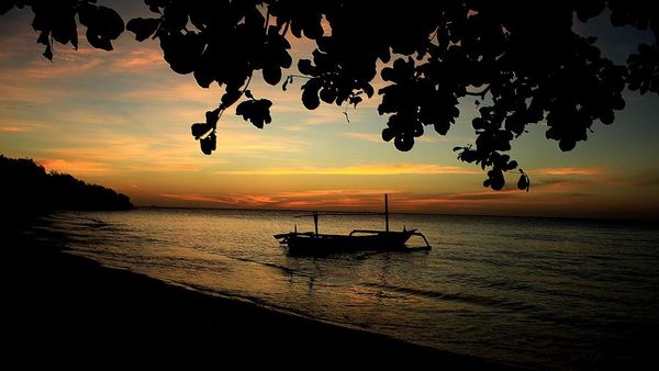 Petualangan Alam Liar Ala Afrika di Baluran