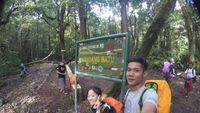 Petualangan Romantis ke Gunung Gede dan Pangrango