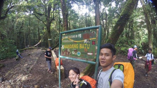Petualangan Romantis ke Gunung Gede dan Pangrango