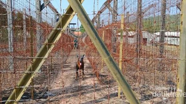 Phu Quoc, Penjara Komunis Tersadis yang Pernah Ada