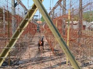 Phu Quoc, Penjara Komunis Tersadis yang Pernah Ada