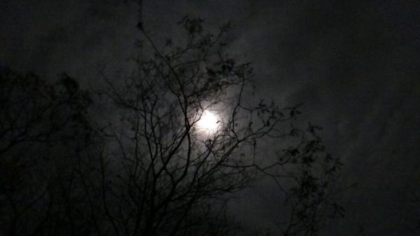 Piknik Akhir Pekan, Ya ke Papandayan