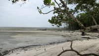 Pilihan Pantai Pasir Putih yang Cantik di Asahan