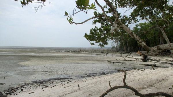 Pilihan Pantai Pasir Putih yang Cantik di Asahan