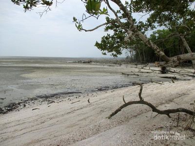 Pilihan Pantai Pasir Putih yang Cantik di Asahan