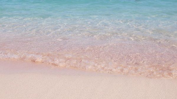 Pink Beach, Pantai Pasir Merah Muda Favorit Turis Dunia