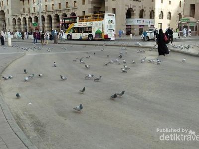 Potret Kota Madinah, Makkah, dan Gurun Hudaibiyyah