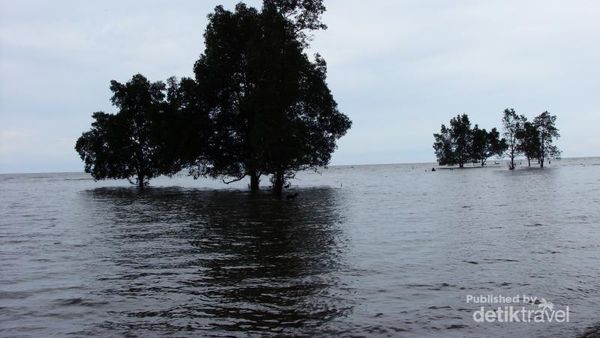 Potret Pantai Lamaru yang Sejuk di Balikpapan
