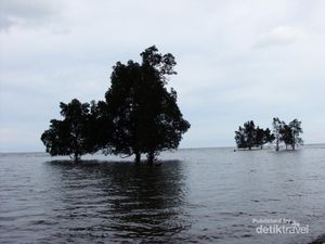 Potret Pantai Lamaru yang Sejuk di Balikpapan