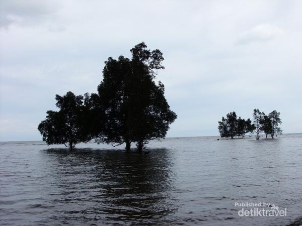 Potret Pantai Lamaru yang Sejuk di Balikpapan