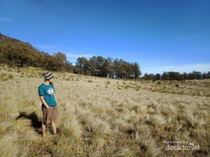 Potret Pendakian Gunung Lawu Via Candi Cetho