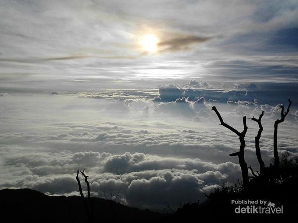 Potret Pendakian ke Gunung Slamet