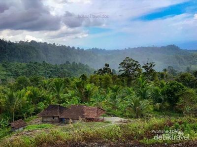Potret Piliana, Bagian Lain Negeri Atas Awan Indonesia