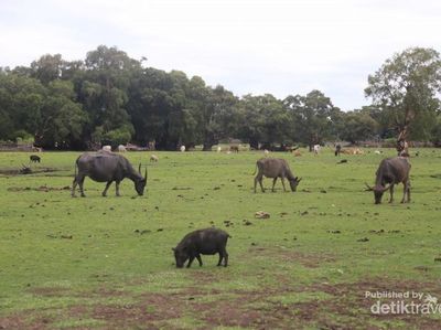 Potret Pulau Terdepan di Ujung Selatan Indonesia