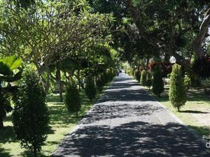 Potret Taman Istana Paling Indah di Indonesia