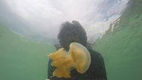 Puas Jelajah Indahnya Maratua