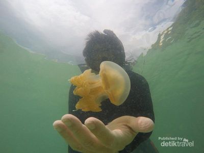 Puas Jelajah Indahnya Maratua