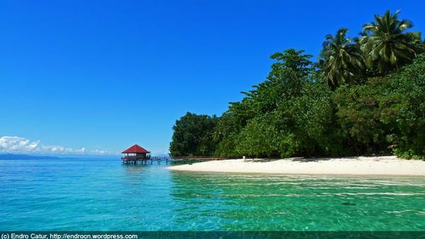 Pulau Ahe, Nabire, Papua: Siapa yang Punya?