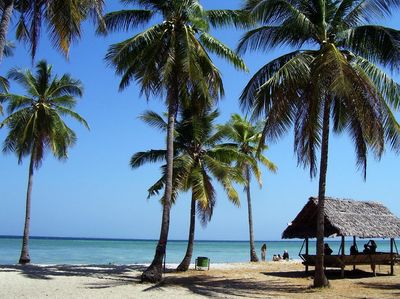 Pulau Hoga, Cantiknya Sampai ke Eropa