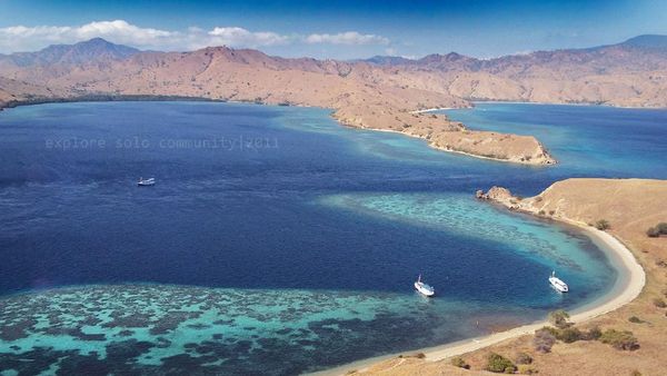 Pulau Komodo, Kediaman Si Mahluk Purba