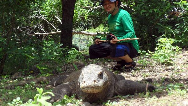 Pulau Komodo, Keistimewaan Milik Indonesia