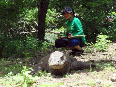 Pulau Komodo, Keistimewaan Milik Indonesia