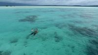 Pulau Maratua, Bawah Lautnya Juara!
