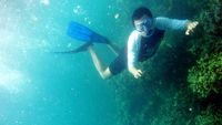 Pulau Pahawang, Satu Lagi Surga Para Diver Lampung