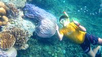 Pulau Pari, Tempat Akhir Pekan Seru di Kepulauan Seribu