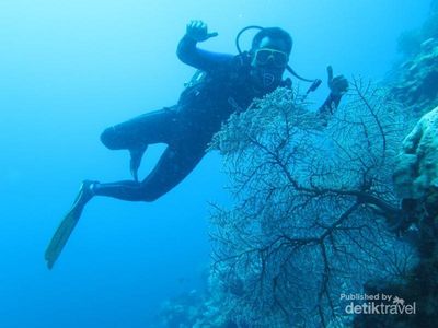Pulau Seindah Maladewa Ini Ada di Sulawesi Tengah