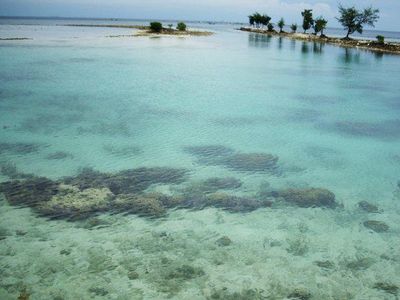 Pulau, Sekolah, dan Birunya Laut Tidung