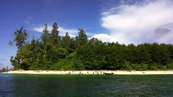 Pulau Um, Cantik Mungil Habitat Kelelawar