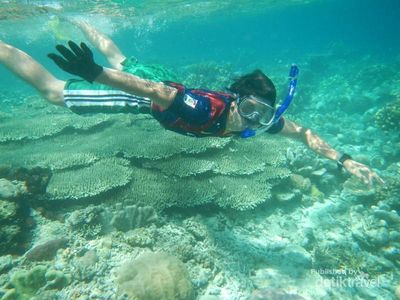 Pulau yang Asyik Buat Snorkeling di Raja Ampat