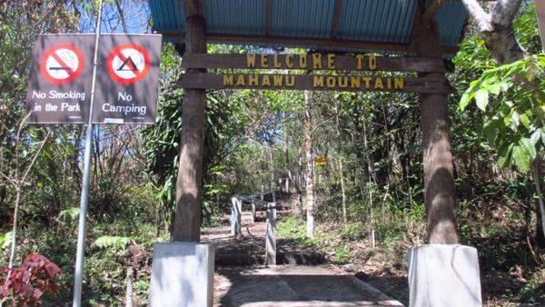 Puncak Gunung yang Hijau di Kota Bunga
