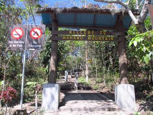 Puncak Gunung yang Hijau di Kota Bunga