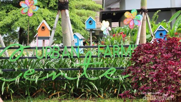 Pusat Pelatihan Pertanian Bisa Secantik Ini