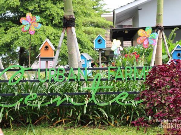 Pusat Pelatihan Pertanian Bisa Secantik Ini