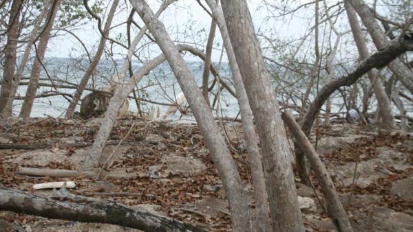 Ramahnya Penduduk Pulau Moyo