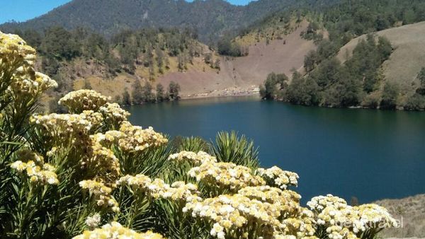 Ranu Kumbolo, Keindahannya Bikin Rindu