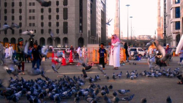 Ratusan Merpati Cantik di Masjid Nabawi, Madinah