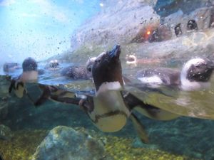 Rekomendasi Tempat Wisata di Sekitar Bangkok Selain Kuil