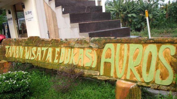 Rileks Tenangkan Pikiran di Taman Edukasi Avros Medan