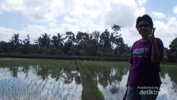 Rindu Hijaunya Persawahan Ubud Bali