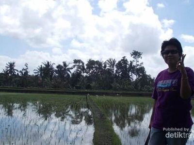 Rindu Hijaunya Persawahan Ubud Bali