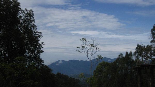 Ritual Penyambutan Tamu di Hutan Lindung Wehea