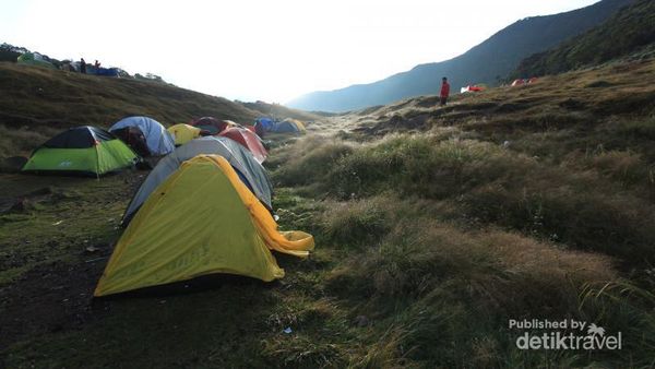 Romantisnya Sunrise di Surya Kencana, Gunung Gede