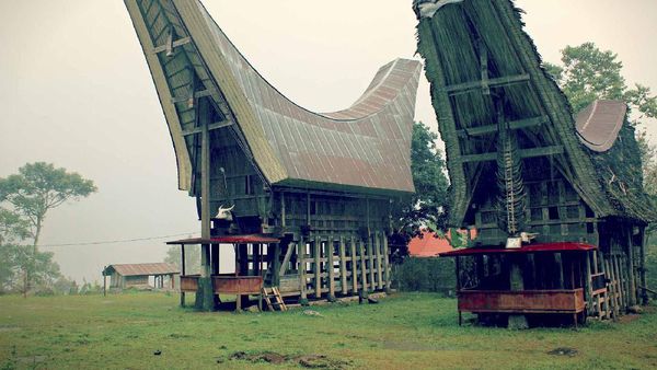 Rumah Adat Tongkonan, Selalu Bikin Hati Tertawan